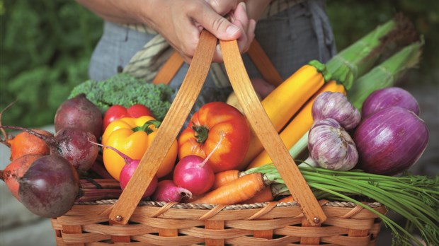 Le Marché public sera de retour samedi